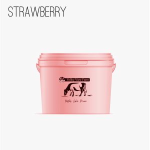 Yoghurt 5 Litre Plastic Tub