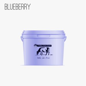Yoghurt - 5L Blueberry